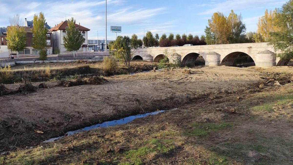 Ecologistas denuncia la tala de un bosque en la ribera del río Torío a su paso por Puente Castro