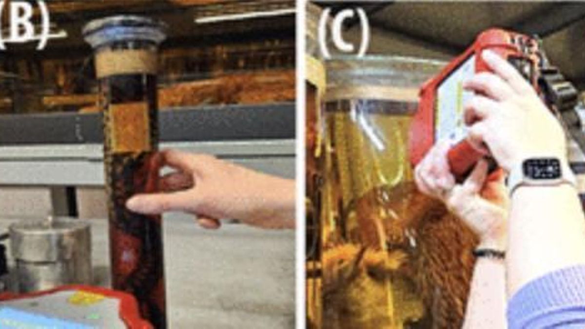 La nueva técnica separa la señal útil del vidrio y evita alterar piezas históricas