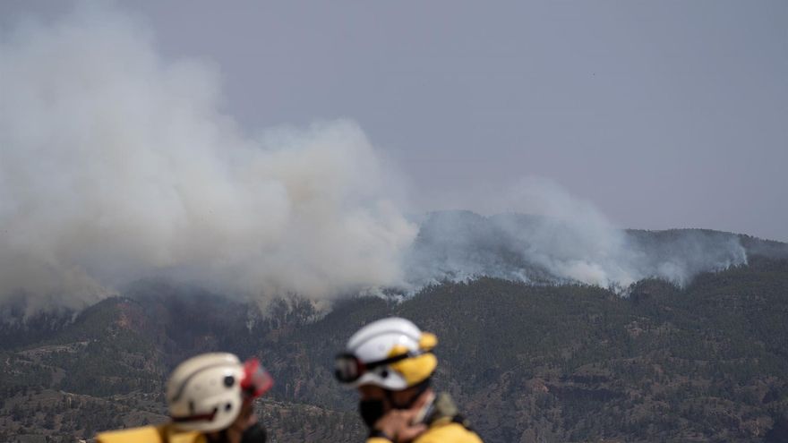 La UME, con el frente del incendio de Arico al fondo