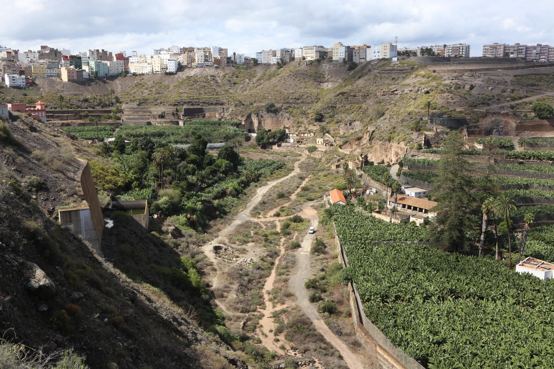 Barranco del Guiniguada (ALEJANDRO RAMOS)