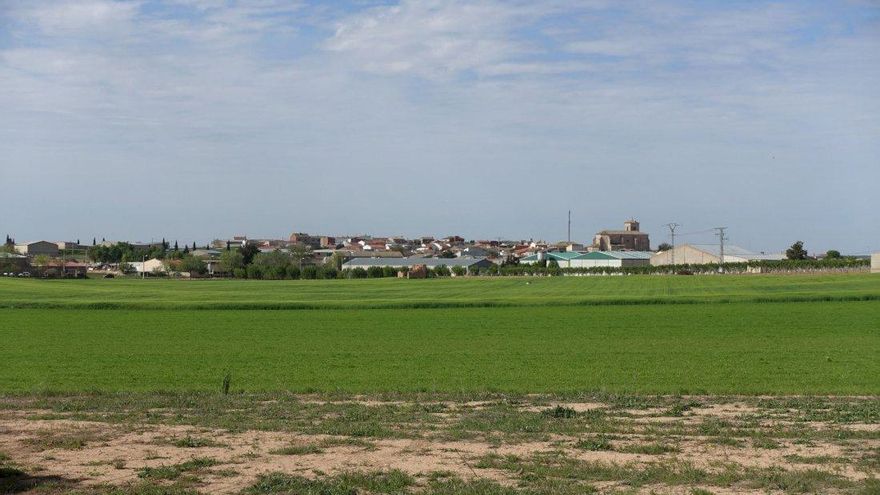 Detectan dos nuevos focos de viruela ovina en La Alberca de Záncara y Tébar