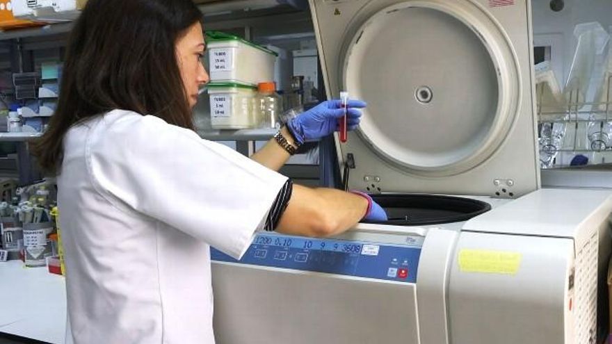 El laboratorio del IBSAL. // Dicyt