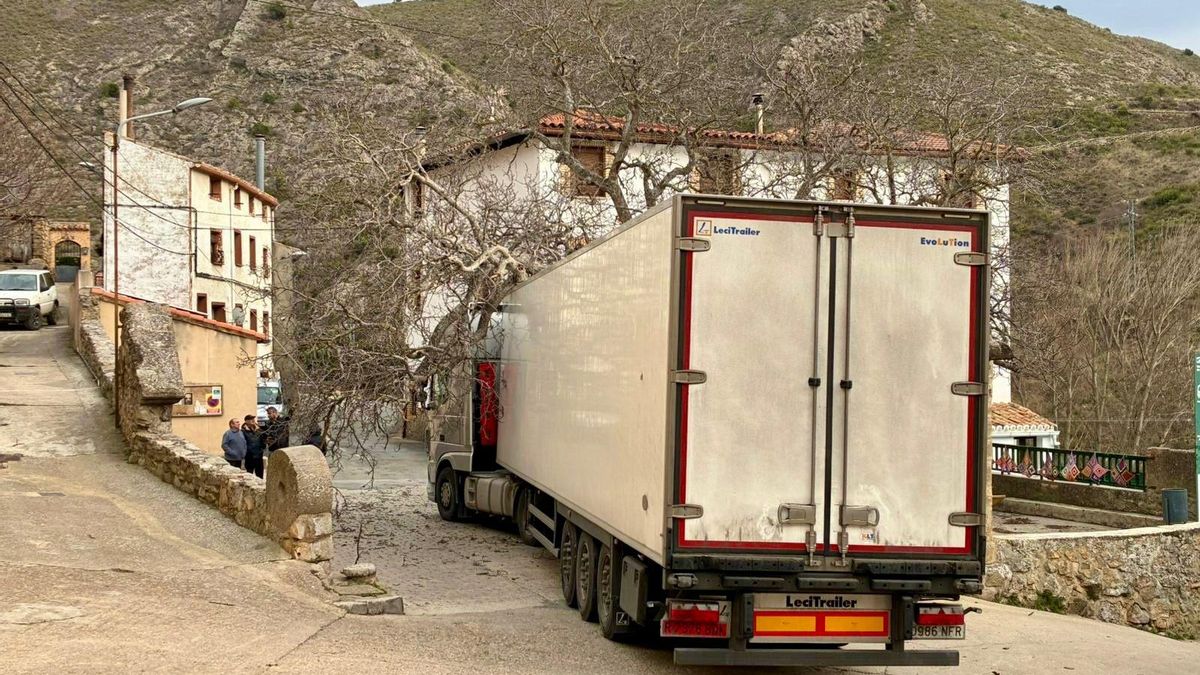 Un camión se empotra contra el nogal centenario de Muro de Aguas