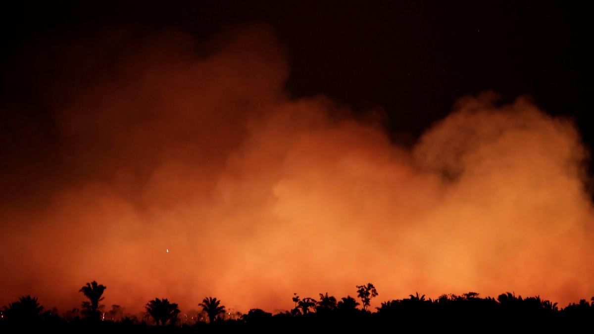 Arde el pulmón de la Tierra: las imágenes del incendio del Amazonas