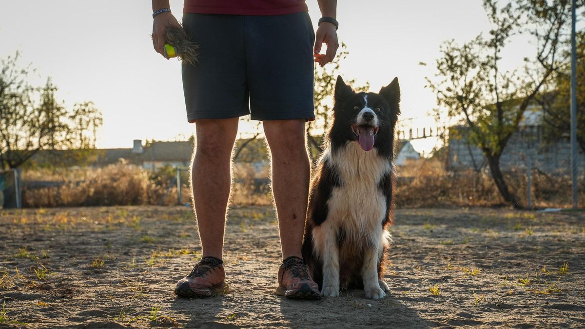 Zizou, campeón en obediencia canina, y su adiestrador Toni Aguilar