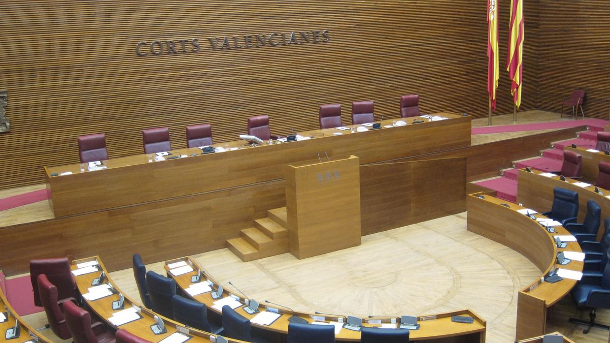PP rechaza en las Cortes un recurso de reposición del PSPV contra la proposición de ley para liquidar la sociedad