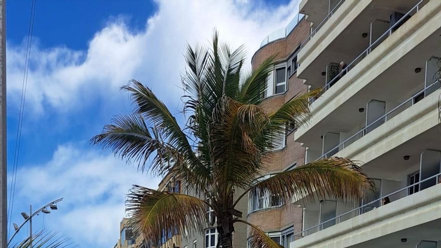 Miles de personas desafían a Therese y se manifiestan por la paz en Gran Canaria