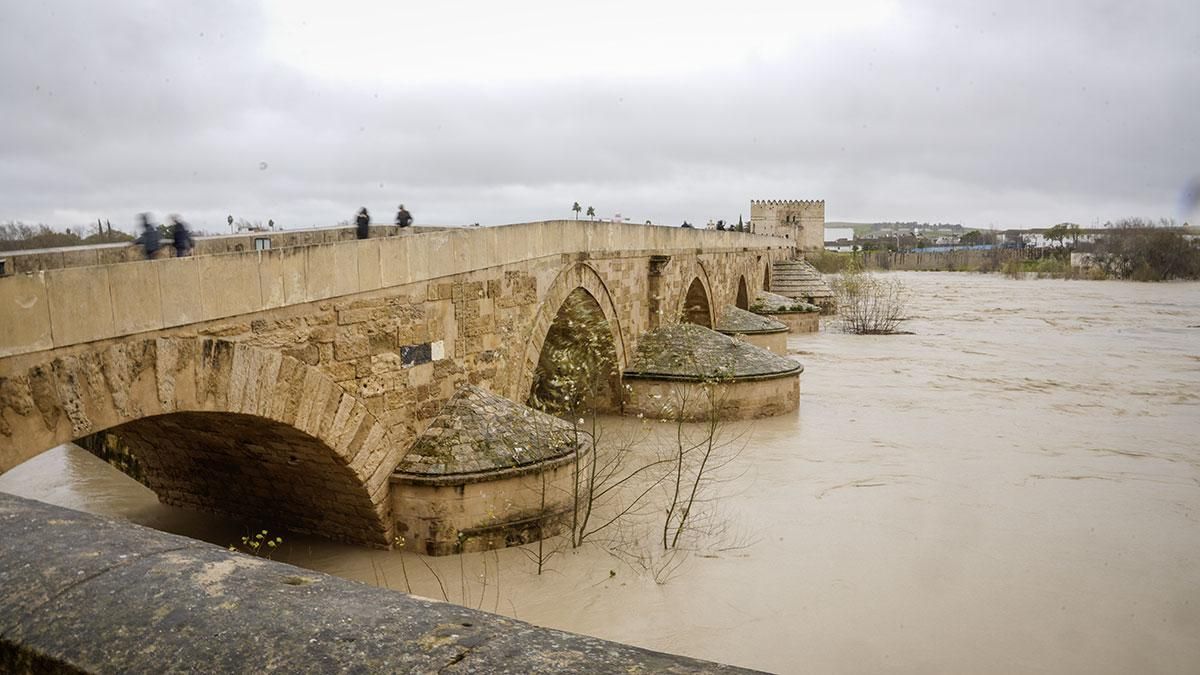 El Guadalquivir se hace gigante en Córdoba