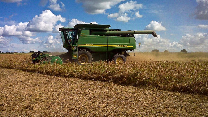 Dólar Soja: qué dice el decreto que lo reestablece hasta el 30 de diciembre