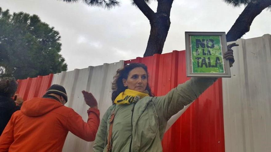Ayuso y Almeida consuman "el día T" de las talas frente a una resistencia vecinal que logró salvar la mitad de los árboles