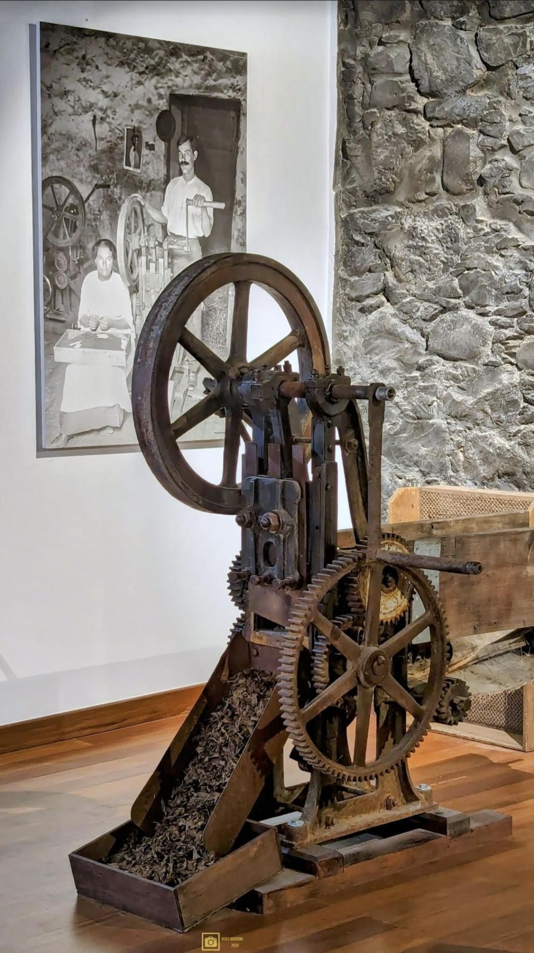 Picadora de Tabaco. Foto: JOSÉ F AROZENA