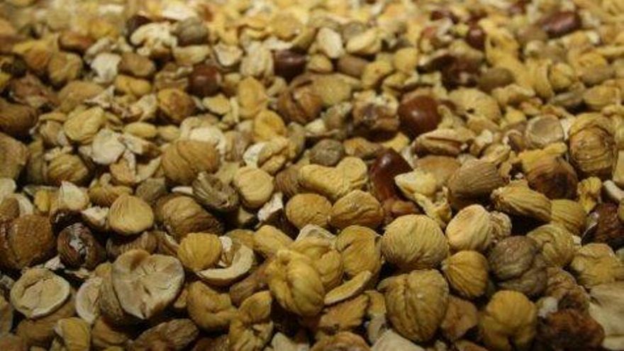 César Sánchez / ICAL Castañas del Bierzo de la empresa La Oricera, afincada en Balboa