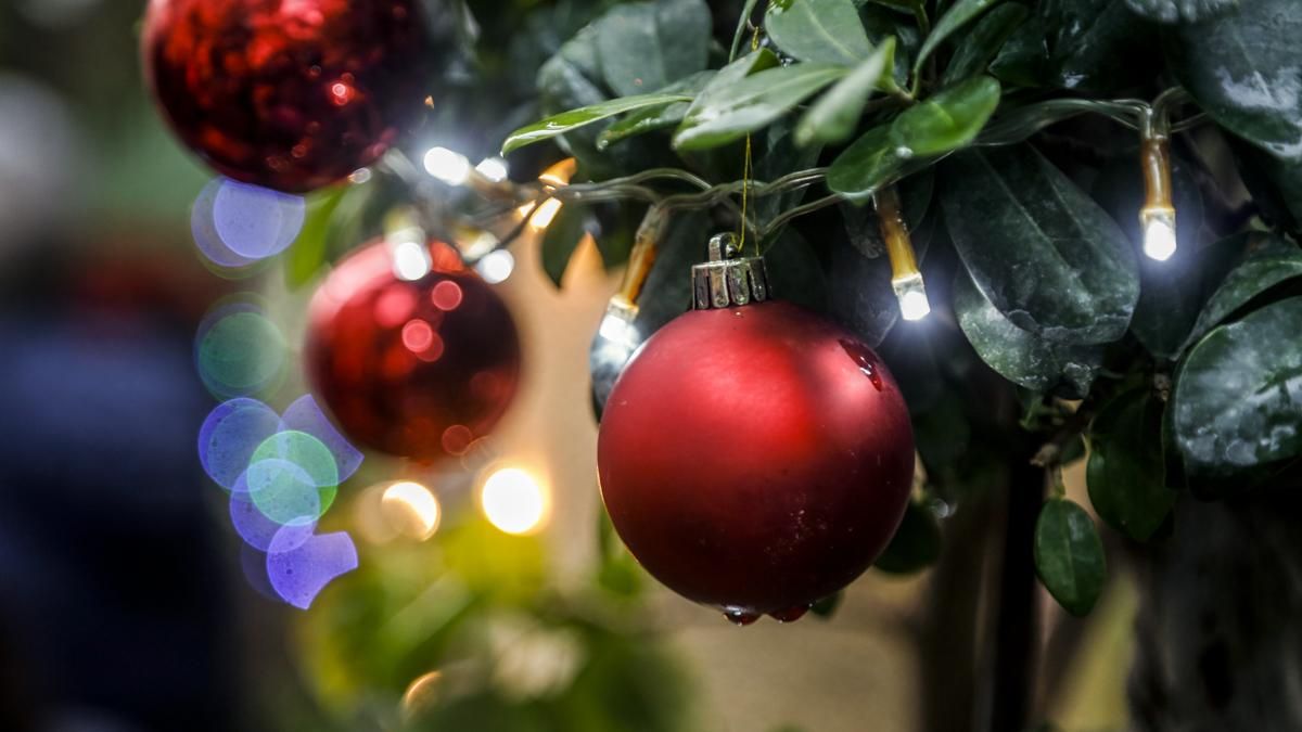 Patios en Navidad 2025