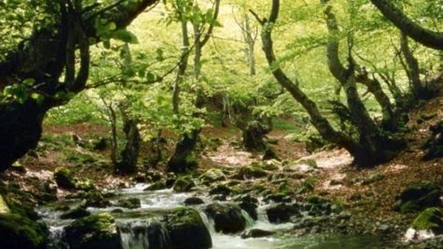 Autor: www.cuatrovalles.es