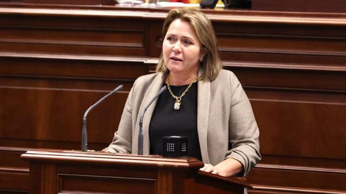 Alicia Vanoostende,  diputada  del PSOE por La Palma en el Parlamento de Canarias.