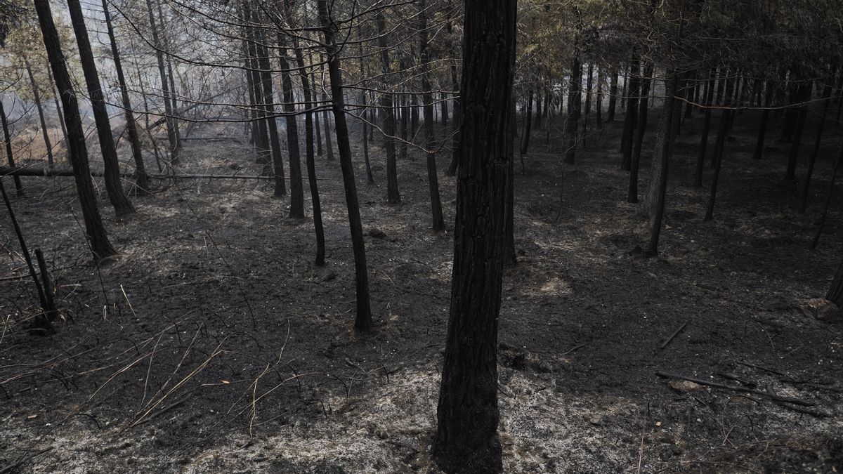 Un incendio forestal próximo a viviendas en Lugo obliga a confinar una residencia de ancianos y a desalojar a 40 vecinos