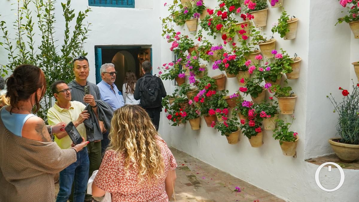 Jornada de puertas abiertas en todos los Patios del Palacio de Viana