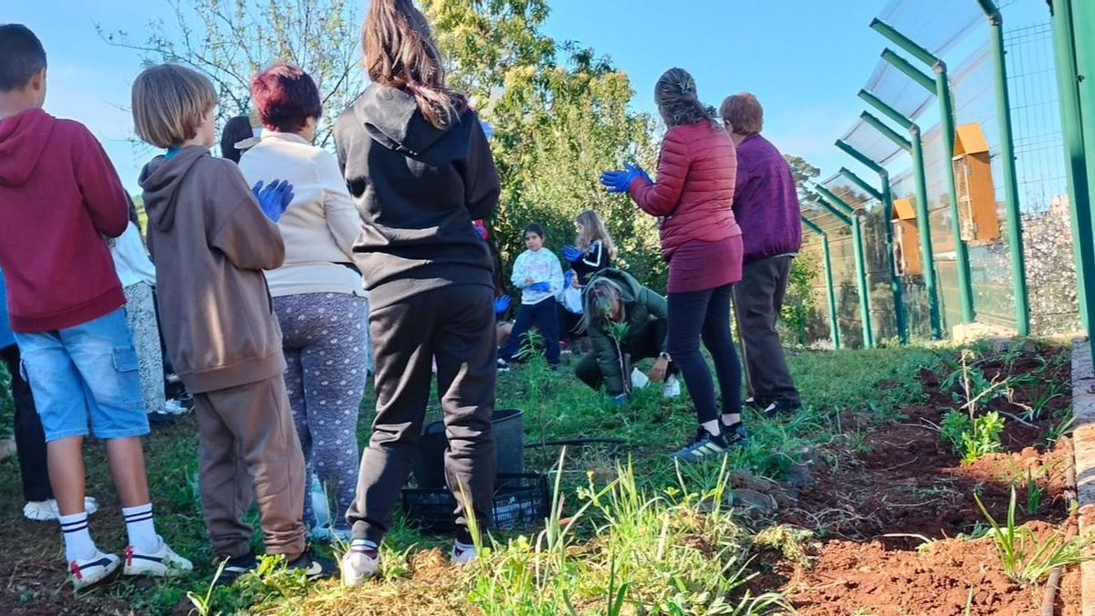 El CEIP Puntagorda recibe el primer premio nacional por su proyecto de convivencia y bienestar