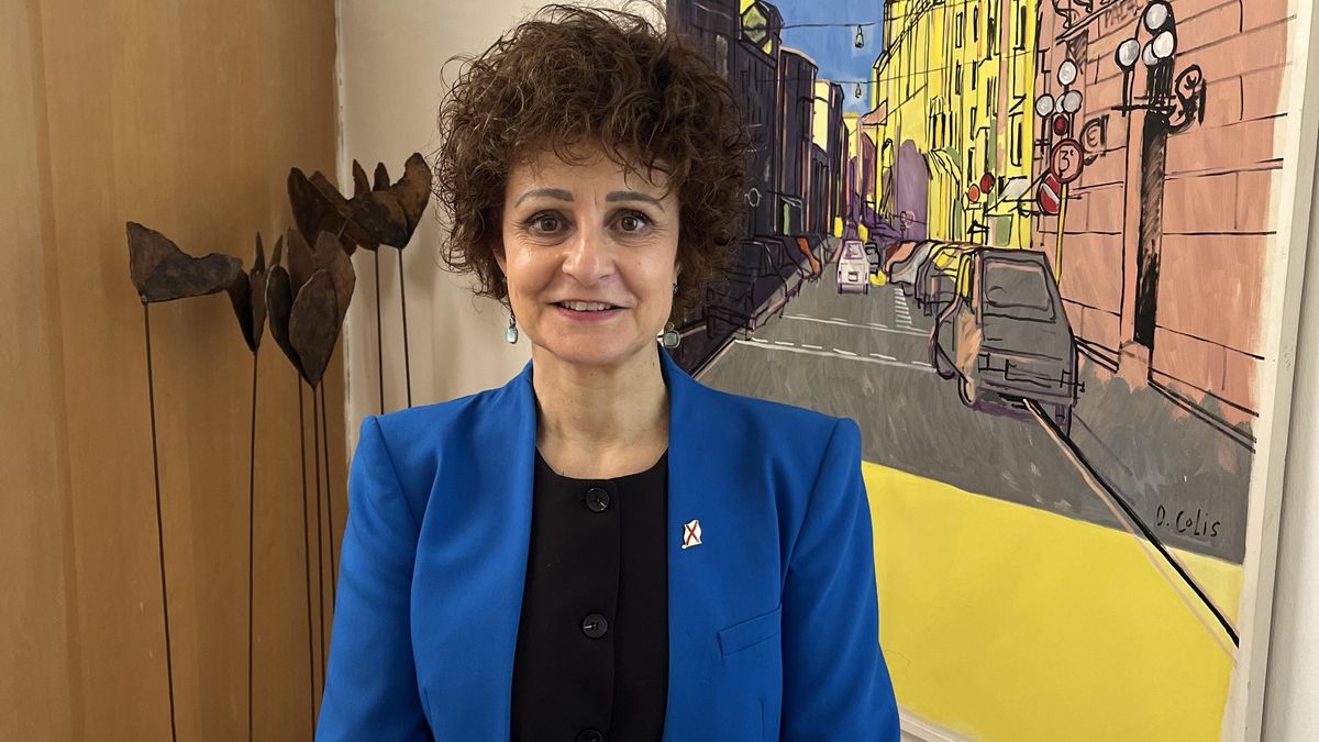 La portavoz municipal de Logroño, Celia Sanz