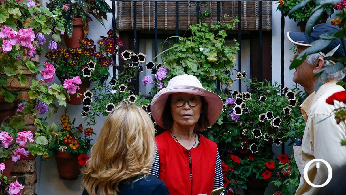 Patio Parras 6 - 2022