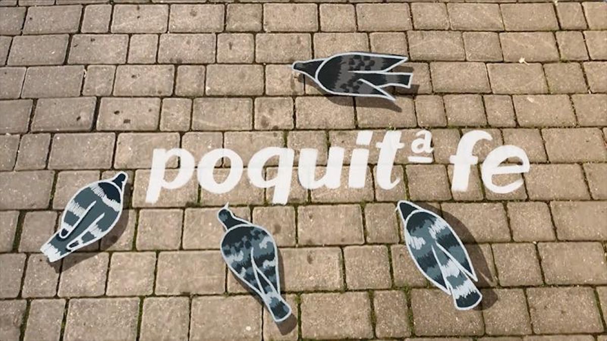 Cabecera de la serie 'Poquita fe'