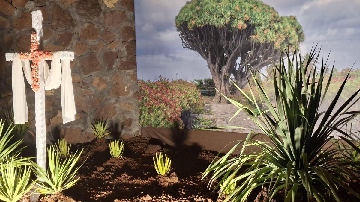 La Cruz de La Caldereta-Valle de La Luna rinde homenaje a los Dragos Gemelos de Breña Alta