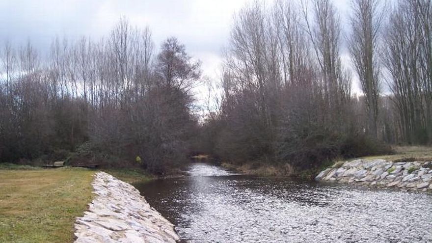 El río Tuerto a su paso por San Justo de la Vega.