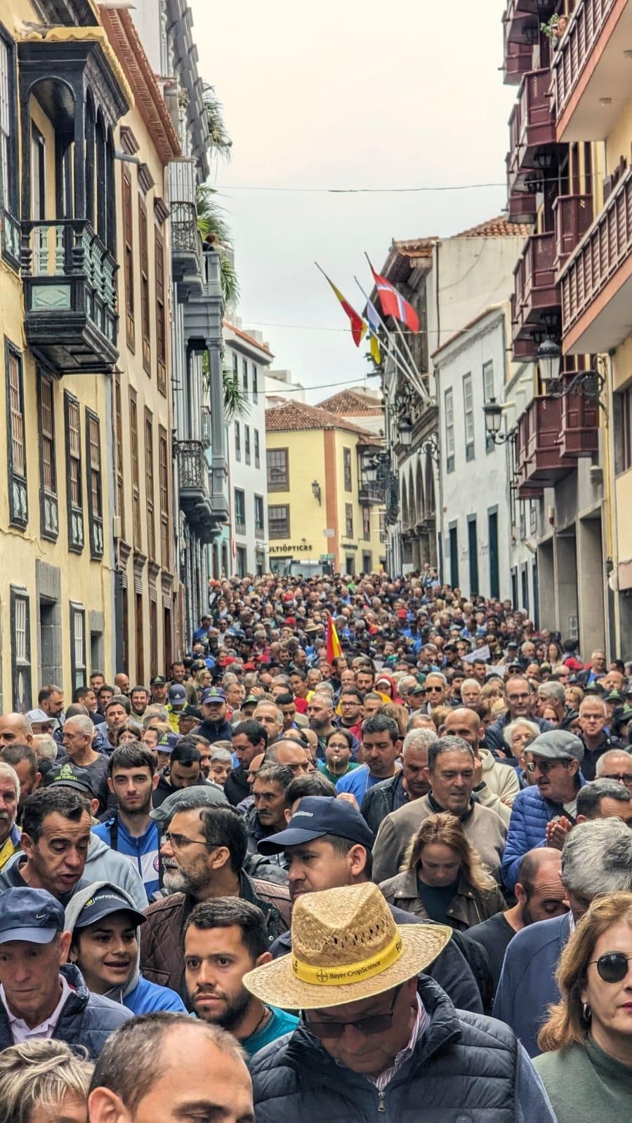 En la imagen, los agricultores palmeros que se han manifestado este viernes en Santa Cruz de La Palma. JOSÉ F. AROZENA