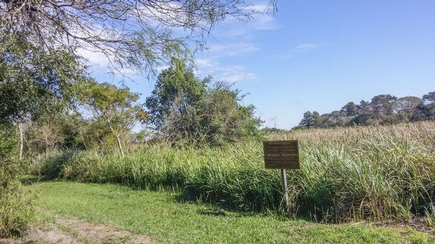 Diputados aprobó y envió al Senado el proyecto de ley de Educación Ambiental