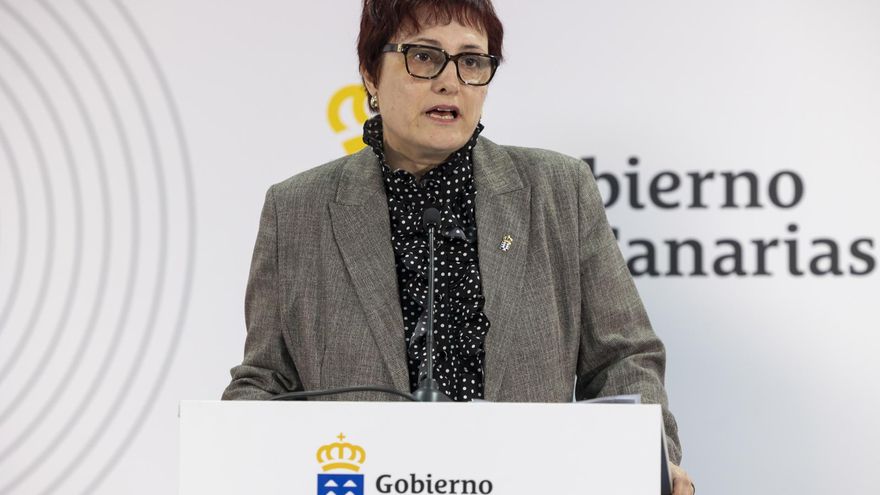 Canarias expresa su decepción tras la sectorial de Infancia, que acaba sin acuerdo: ''Hemos vuelto al punto de partida''