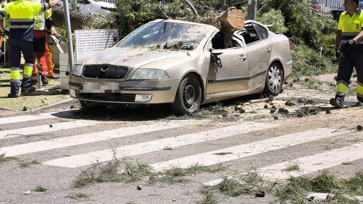 Un árbol de gran tamaño cae sobre un coche en Argés y deja dos heridos