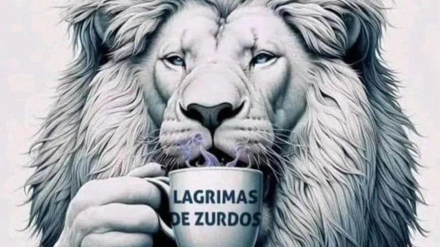 Milei criticó la marcha universitaria: "Día glorioso para el principio de revelación"