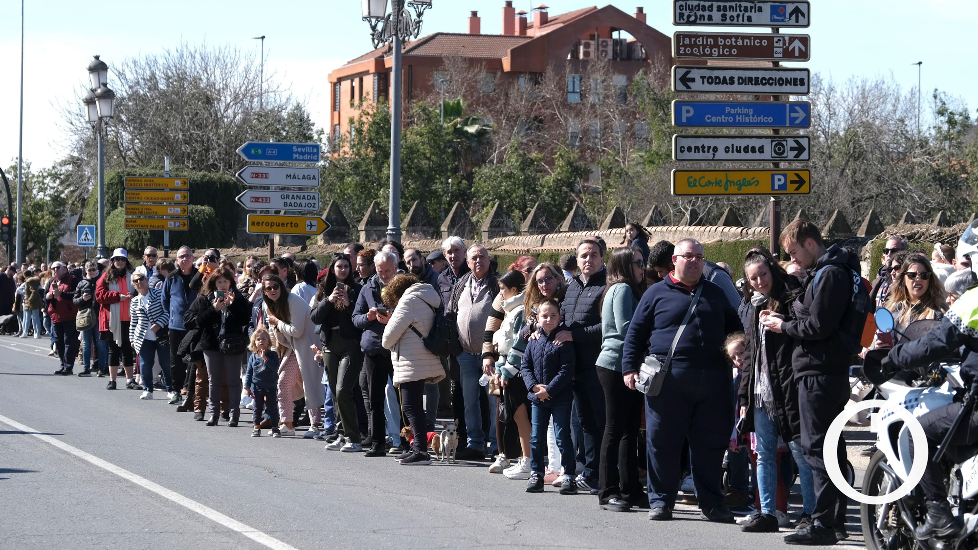Quince años mostrando la belleza del caballo por el Día de Andalucía