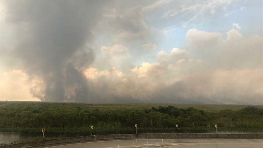 Un incendio forestal consume 32.000 hectáreas de arbustos en los Everglades