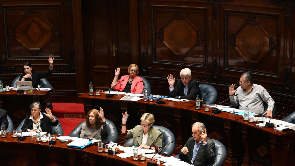 Un grupo de senadores uruguayos de la bancada del Frente Amplio, durante la votación para legalizar la eutanasia en Uruguay.
