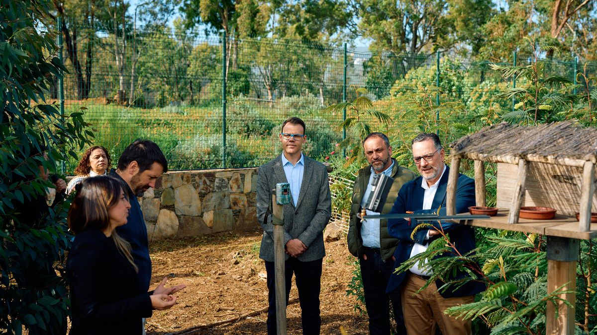 Proyecto Brinzal de HiperDino y la Consejería de Educación.