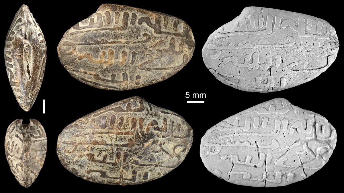 Un fósil de millones de años hallado en Marruecos revela una antigua práctica religiosa