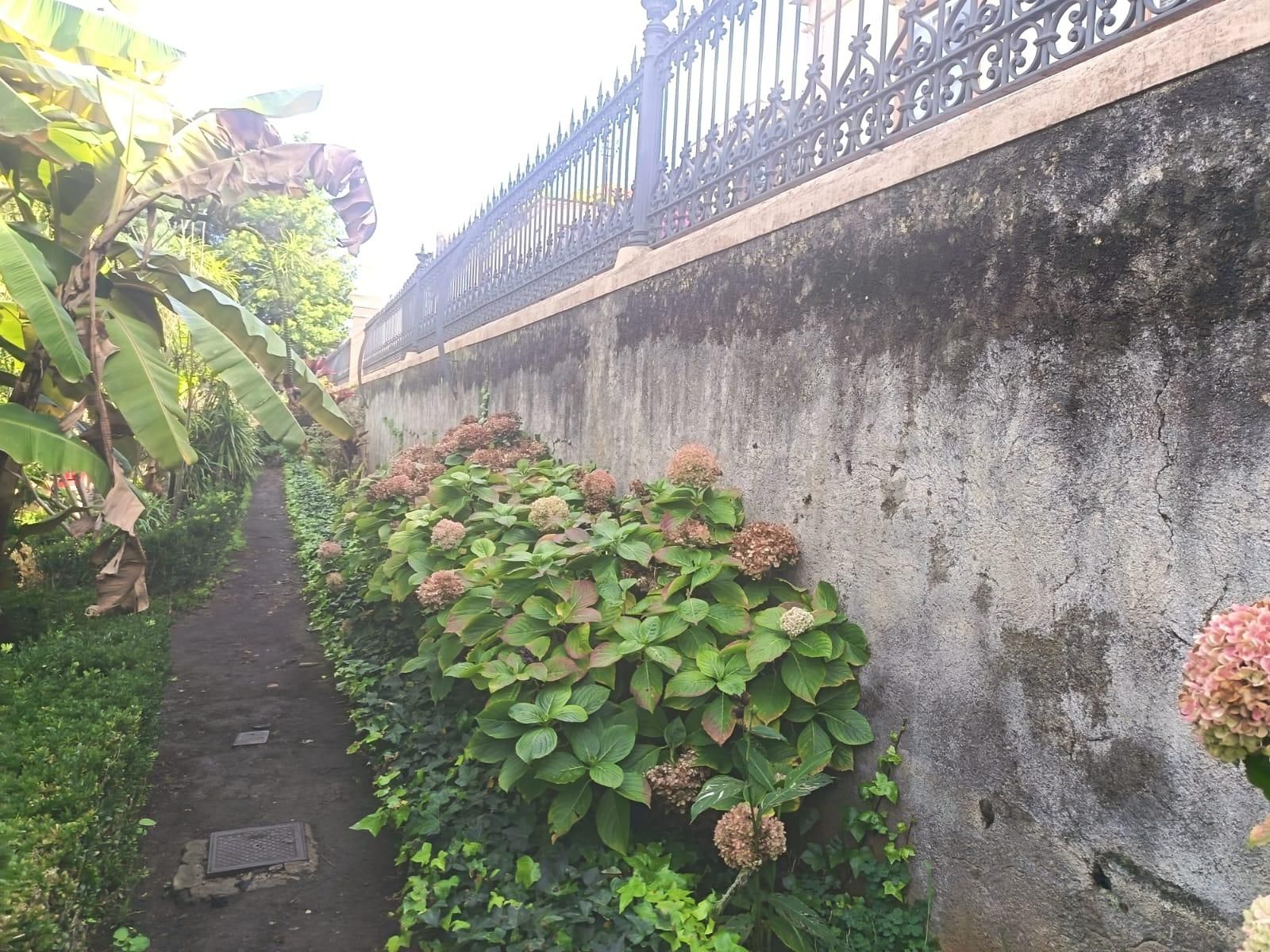Estado de los muros en la Hijuela del Botánico.