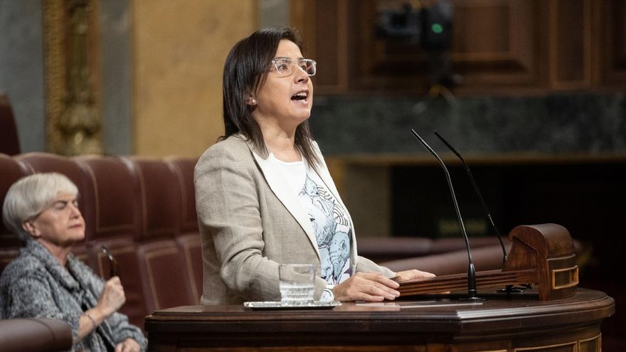 EuropaPress 6276850 diputada pp ana belen vazquez interviene sesion plenaria congreso diputados