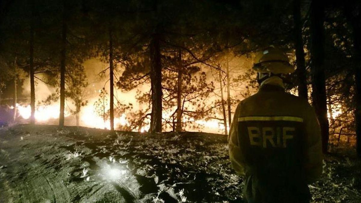 Incendio en La Palma en agosto de 2016.