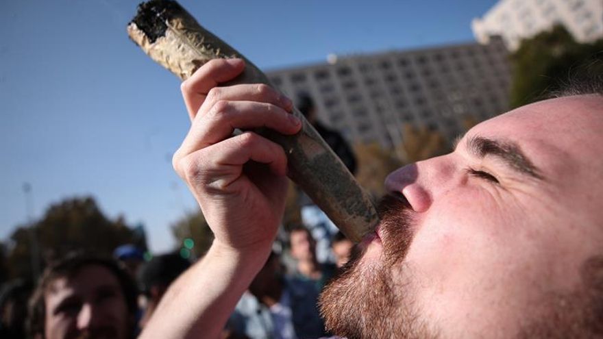 Miles de chilenos marchan para pedir cambios en el acceso al cannabis medicinal