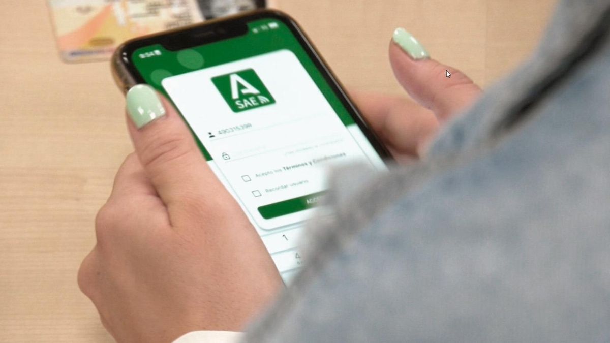 El paro sube un 2,1% durante el trimestre de verano en Andalucía, que registra un nuevo récord de ocupados