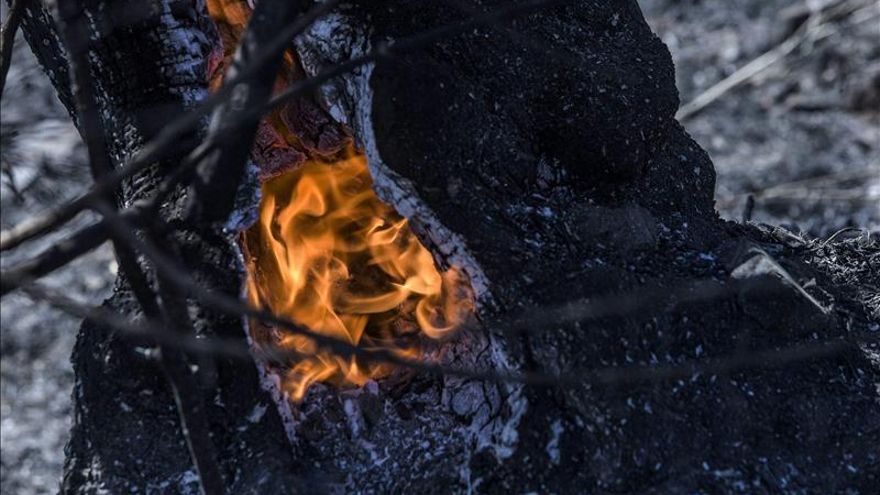 Rayos, líneas eléctricas y quemas agrícolas encabezan las causas de los incendios