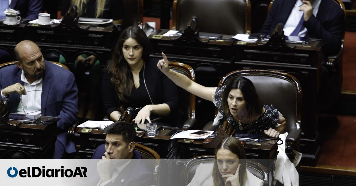 Malas noticias para Menem: ex libertarios arman un interbloque opositor en la Cámara de Diputados