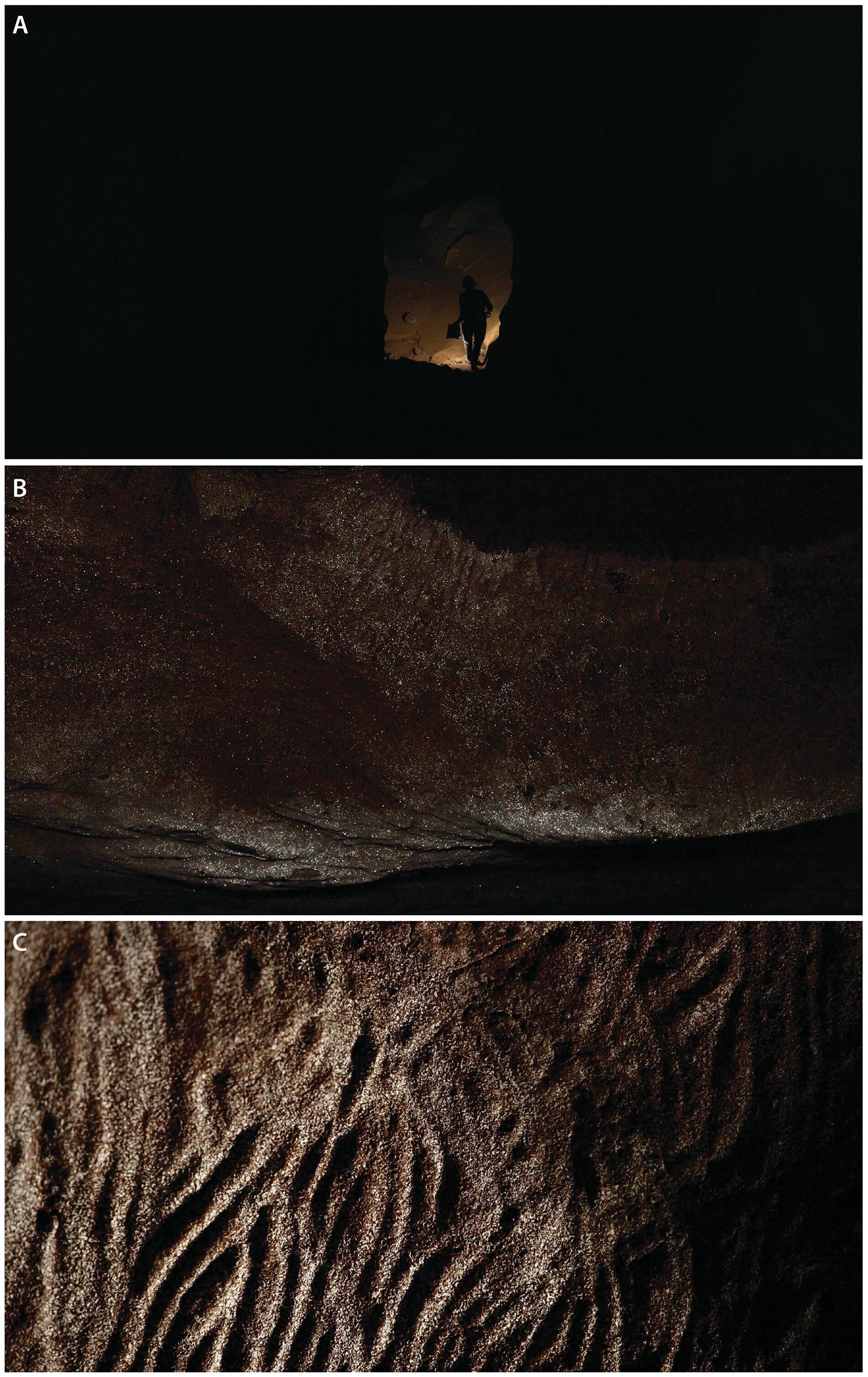 Le brillant des fins cristaux de calcite sous la lumière artificielle tamisée sur les panneaux des stries dans les profondeurs de la grotte.