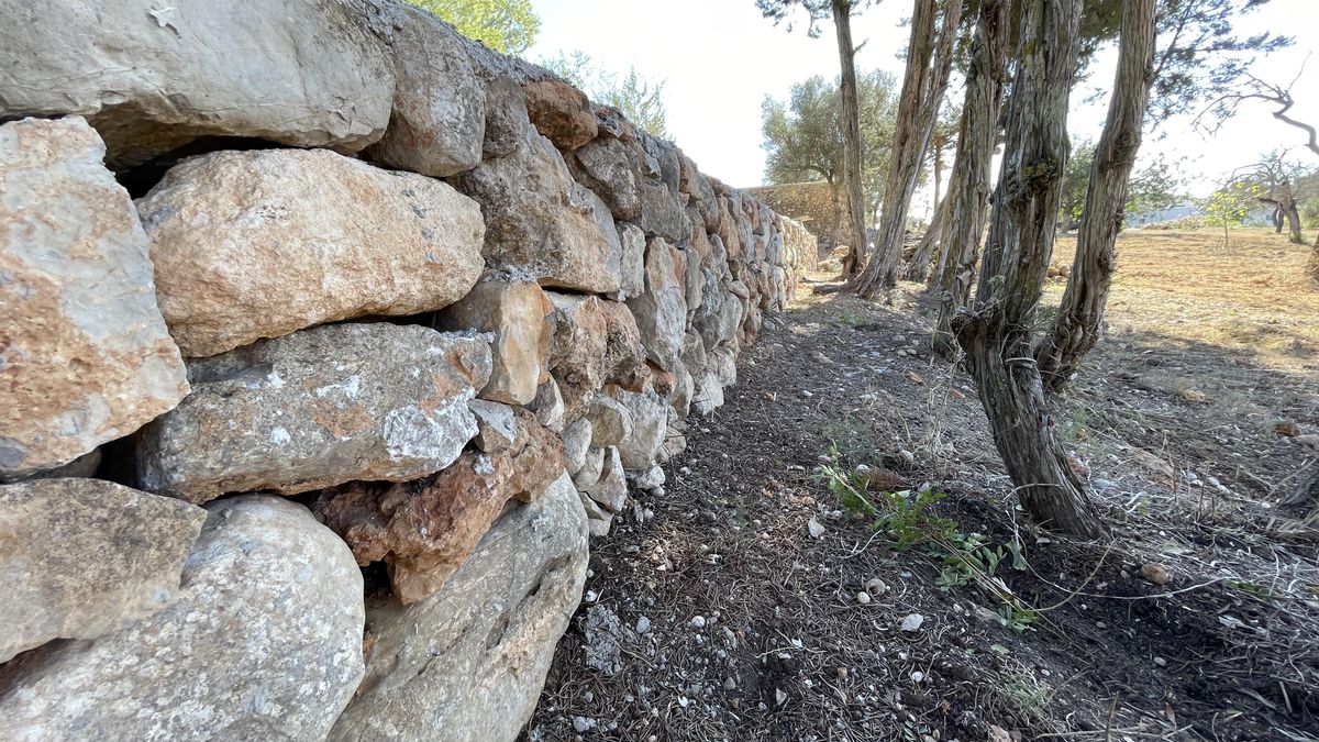 20250728 El Ayuntamiento de Santa Eulària destina 80.000 euros a la conservación y mejora del entorno rural (1)