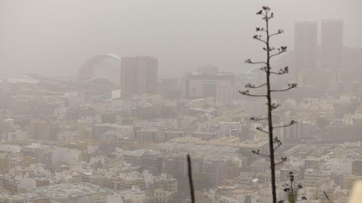 La densa calima afecta al tráfico aéreo en Canarias
