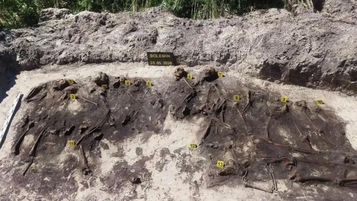 Una cantera cerca de Bolemin destapa restos de 14 soldados alemanes y añade un nuevo capítulo a la Segunda Guerra Mundial