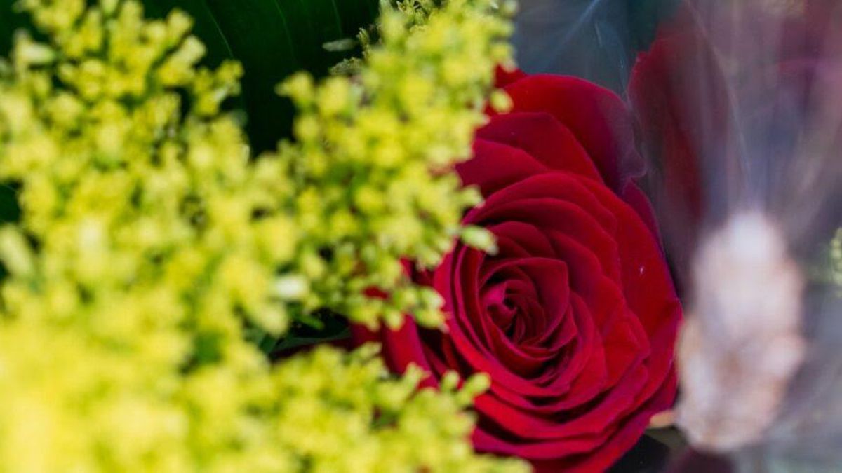 El rojo sigue siendo el color predominante a la hora de decantarse por una rosa durante la festividad de Sant Jordi