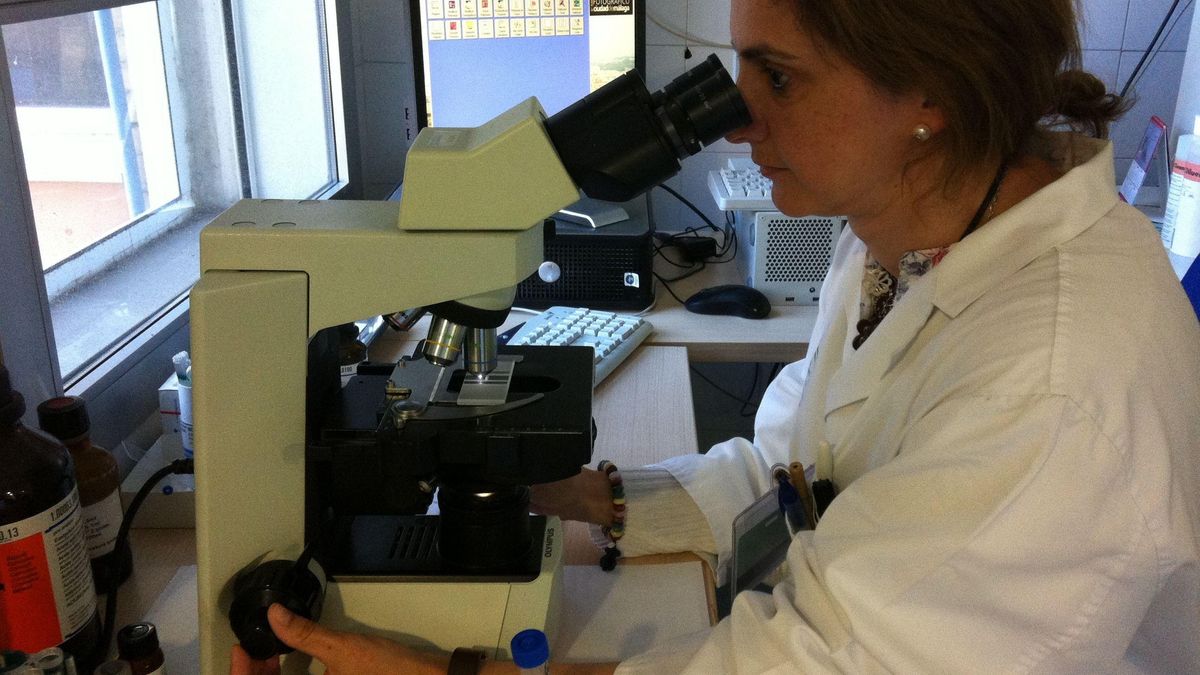 La biblioteca bilbaína de Bidebarrieta analizará los jueves de noviembre la labor de mujeres científicas